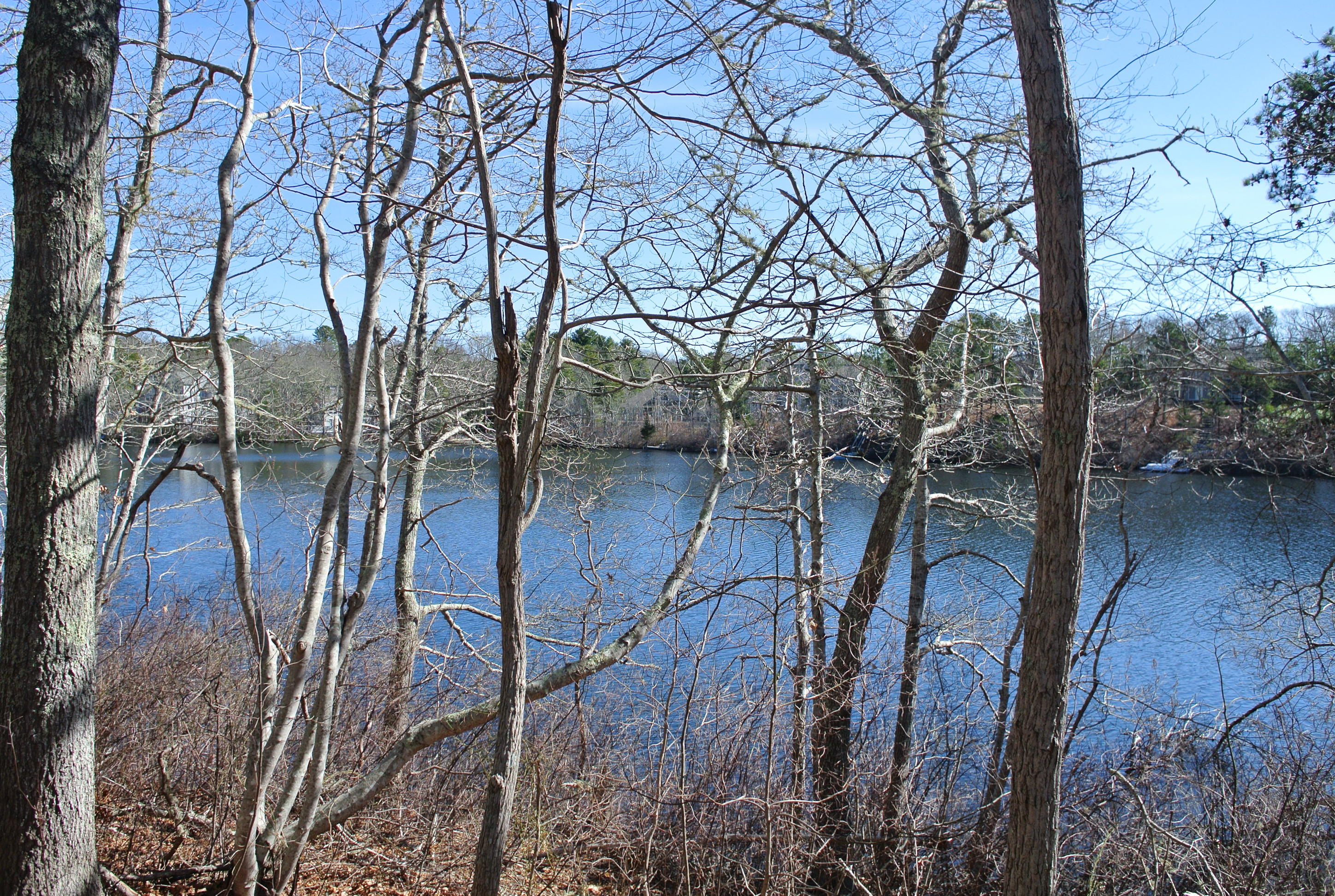 112 Fells Pond Road Mashpee, MA 02649 - Photo 23 of 23 a view of a backyard of the house