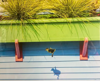 $1,795,000 | 38 South 40 Dock, Sausalito, CA 94965