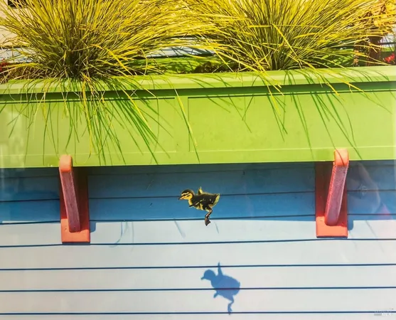 $1,795,000 | 38 South 40 Dock, Sausalito, CA 94965