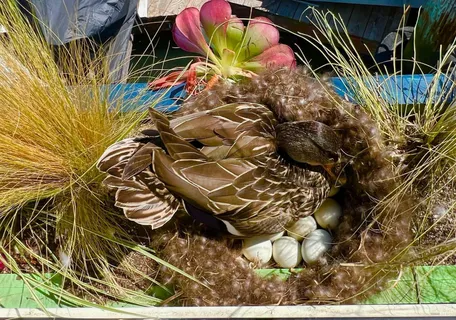 $1,795,000 | 38 South 40 Dock, Sausalito, CA 94965