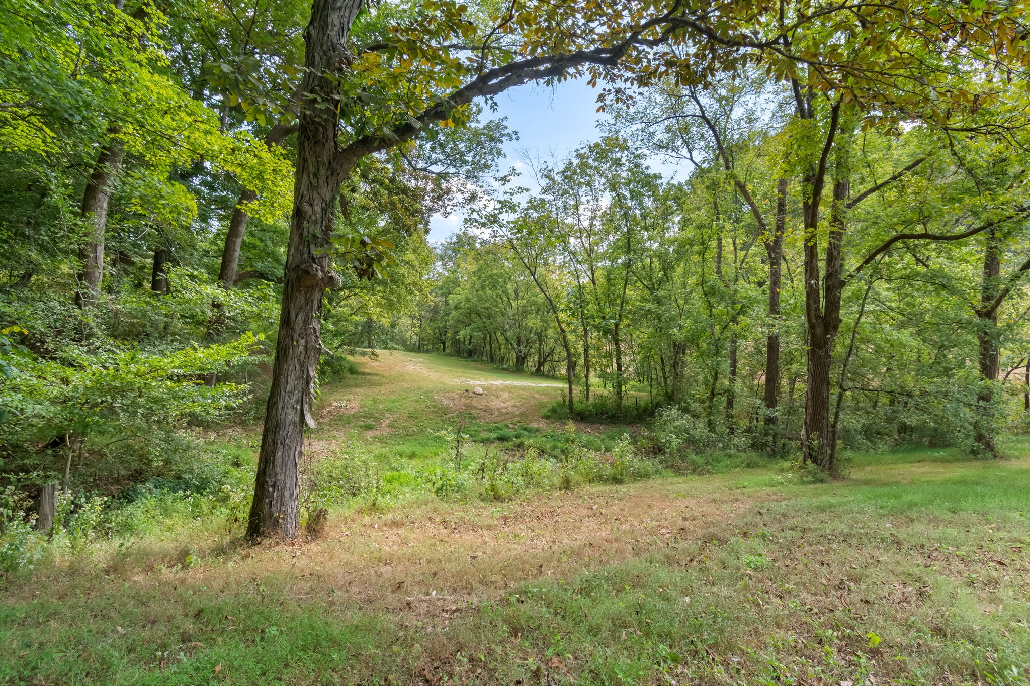 384 Big Spring Hollow Road Pulaski, TN 38478 - Photo 40 of 54 Gallery Image 40