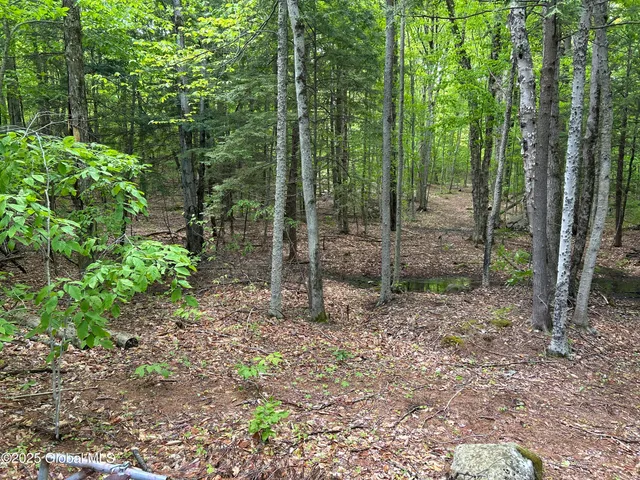 $143,000 | 10 West Tucker Road, Stony Creek, NY 12878