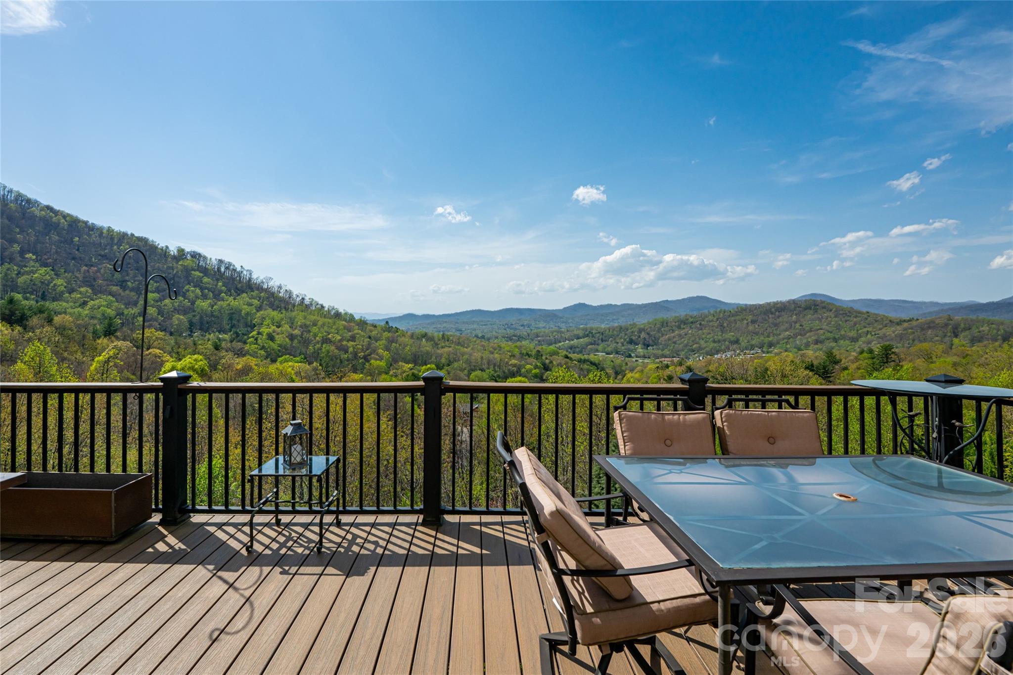 116 Dalya Road Swannanoa, NC 28778 - Photo 2 of 47