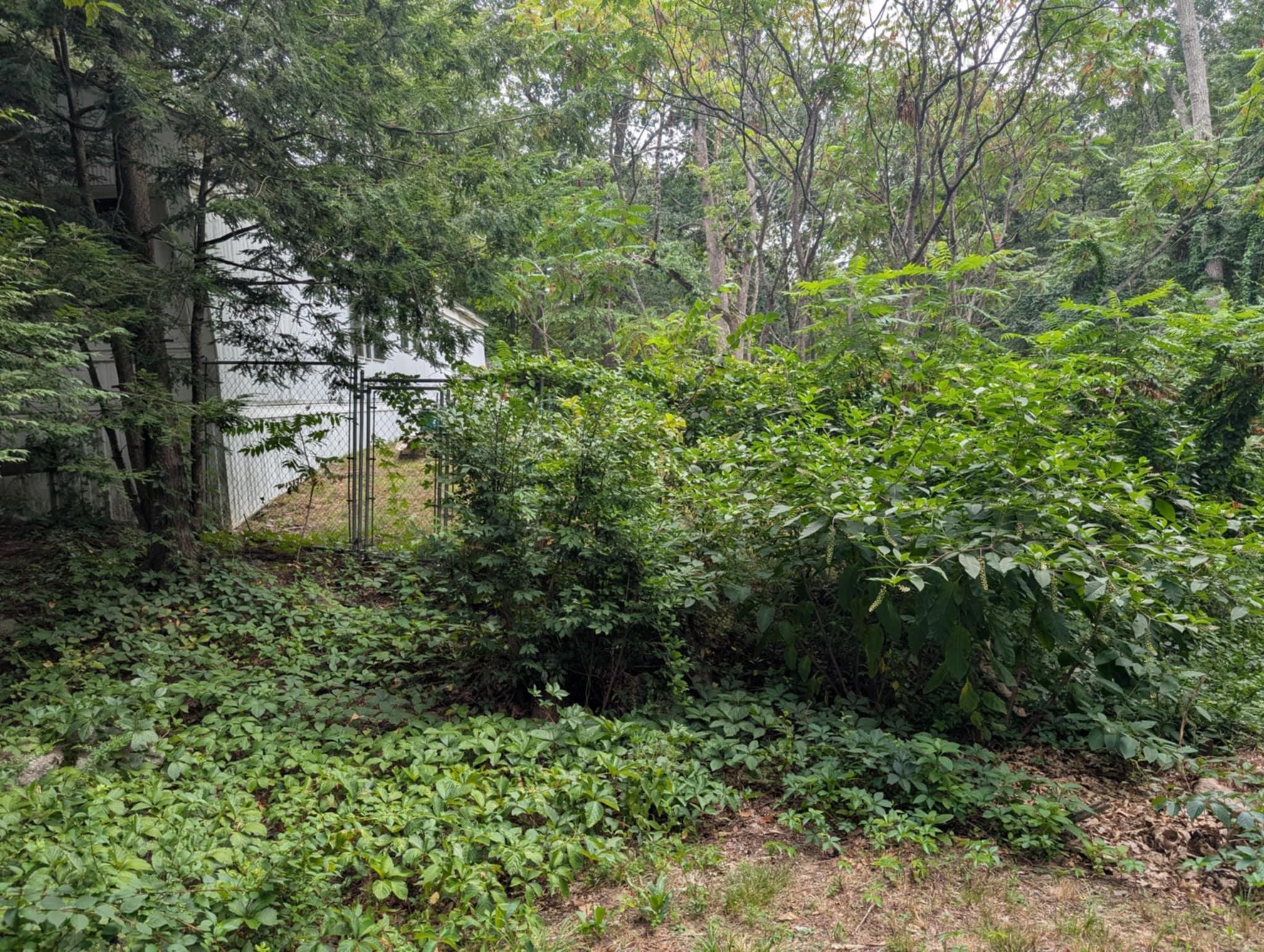 39 Goodhue Road Derry, NH 03038 - Photo 17 of 18