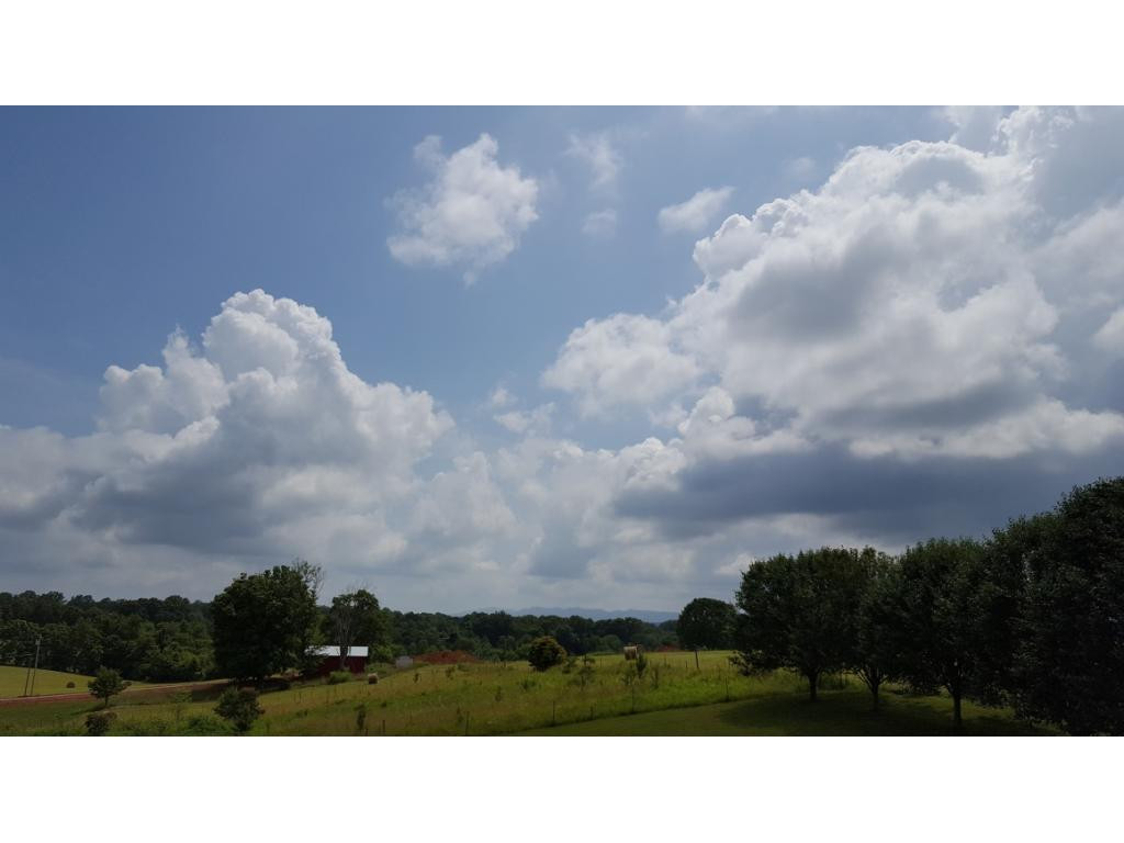 121 Ferd Henley Road Telford, TN 37690 - Photo 3 of 11 Photo 3