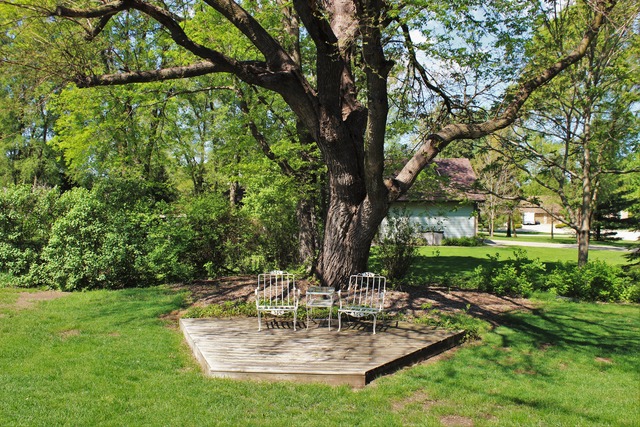 235 Grandin Road Morris, IL 60450 - Photo 18 of 20 a view of a fountain in a yard with palm trees