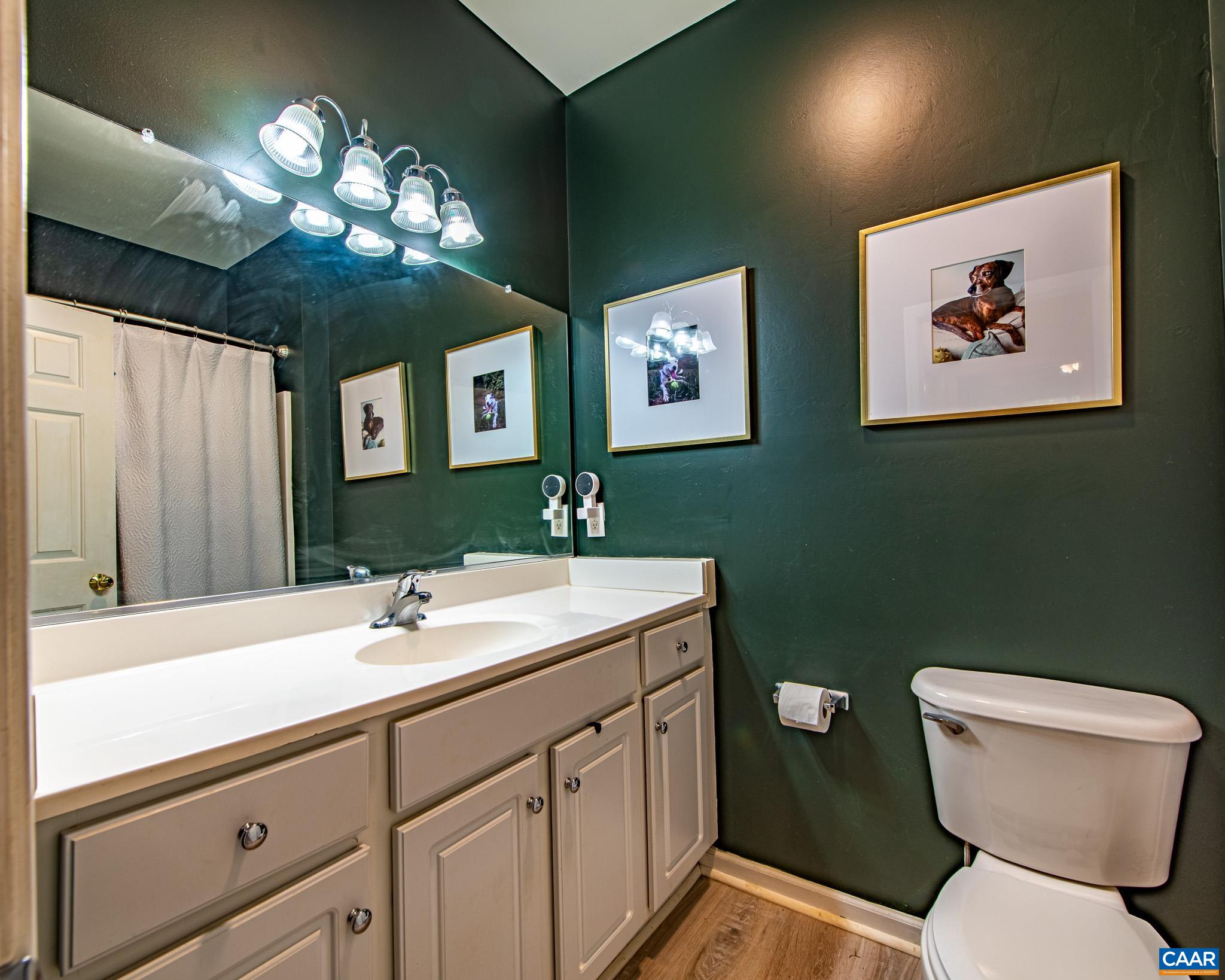 1321 Stoney Ridge Road Charlottesville, VA 22902 - Photo 19 of 51 Gallery Image 19