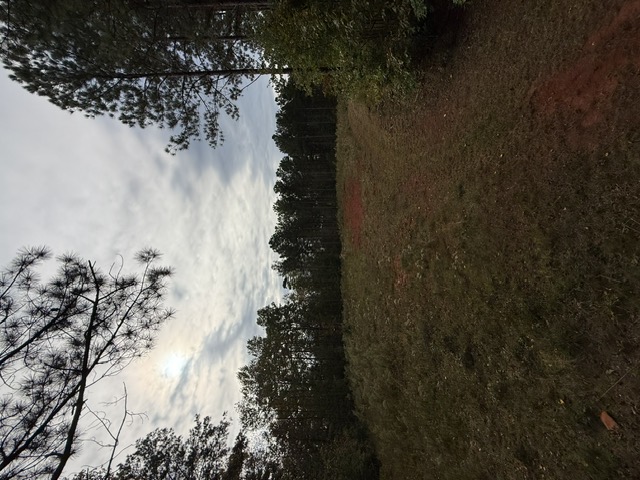 39.96-acres Wolf Stake Church Road Seneca, SC 29672 - Photo 1 of 6