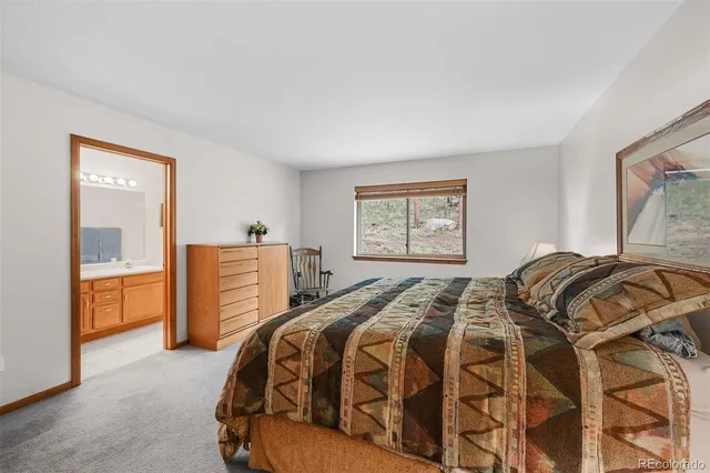 a bedroom with a bed and a closet