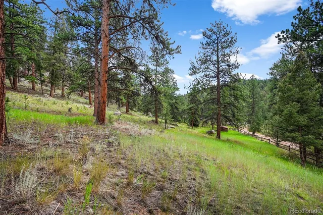 a view of a yard with a tree