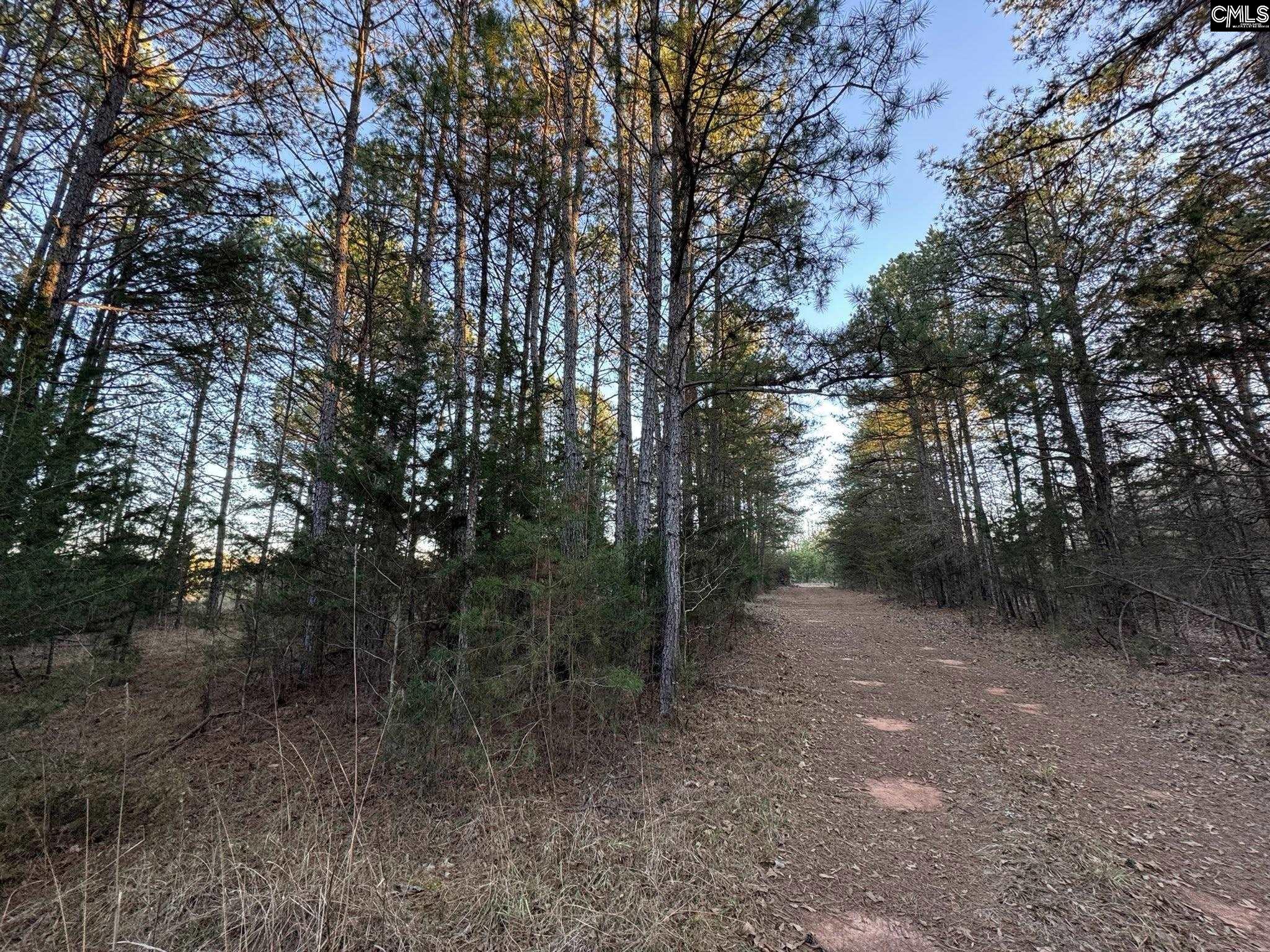 150 Floyd Lanford Road Woodruff, SC 29388 - Photo 24 of 65
