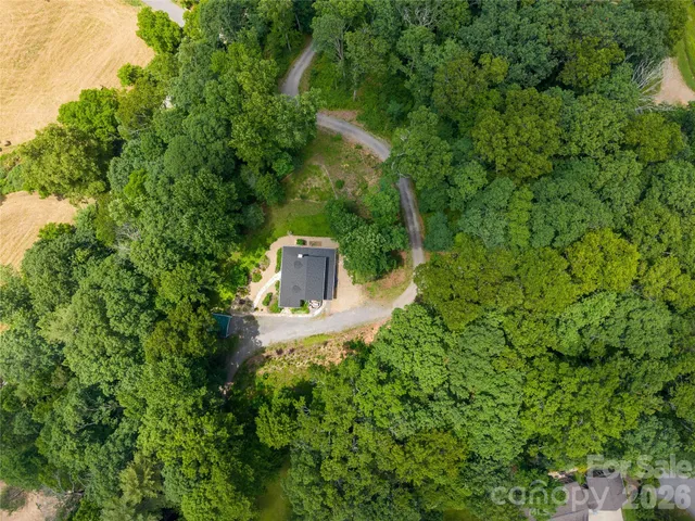 a view of a trees with a yard