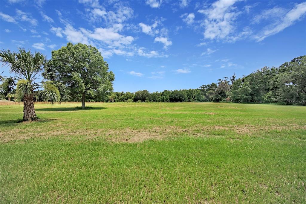 937 Old Welcome Road Lithia, FL 33547 - Photo 7 of 41 Gallery Image 7