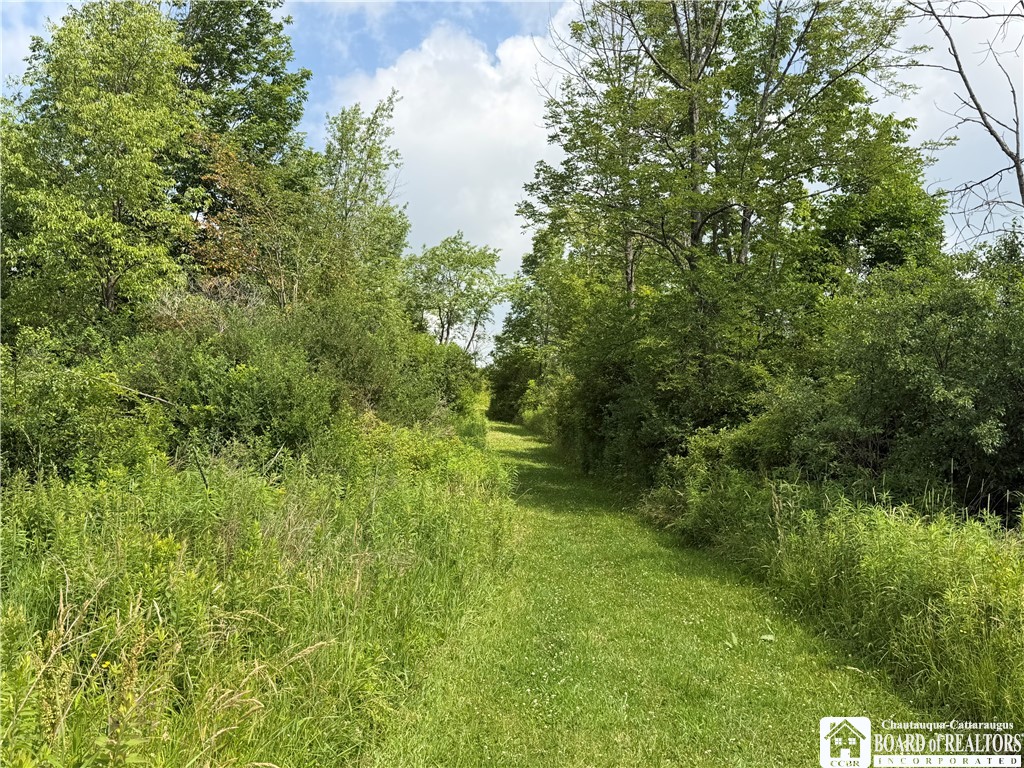 2751 Canfield Road Cohocton, NY 14826 - Photo 7 of 50