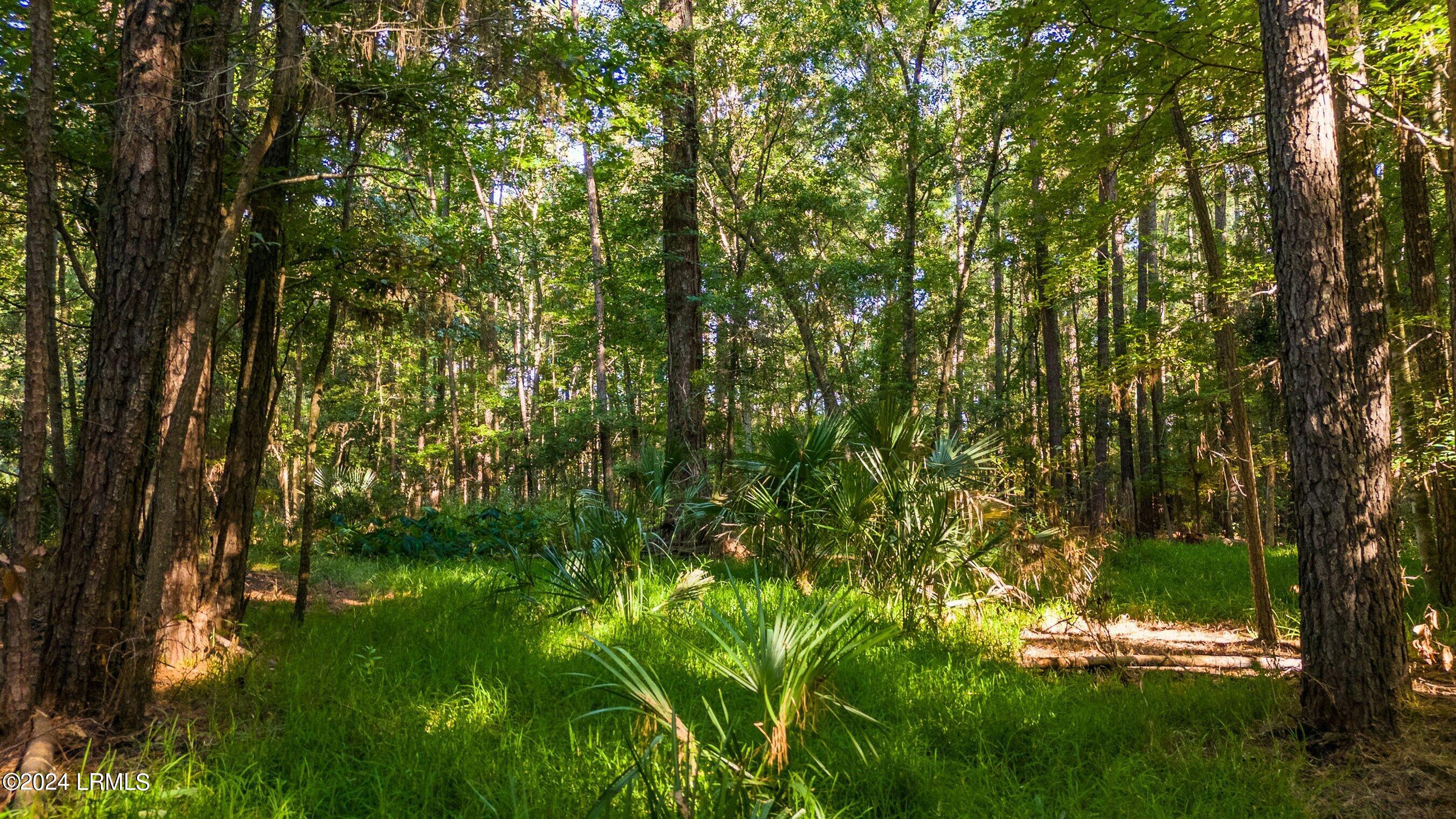 60 Okatie Bluff Road Okatie, SC 29909 - Photo 13 of 18 DJI_20240711090659_0126_D-1.jpg-SMALL