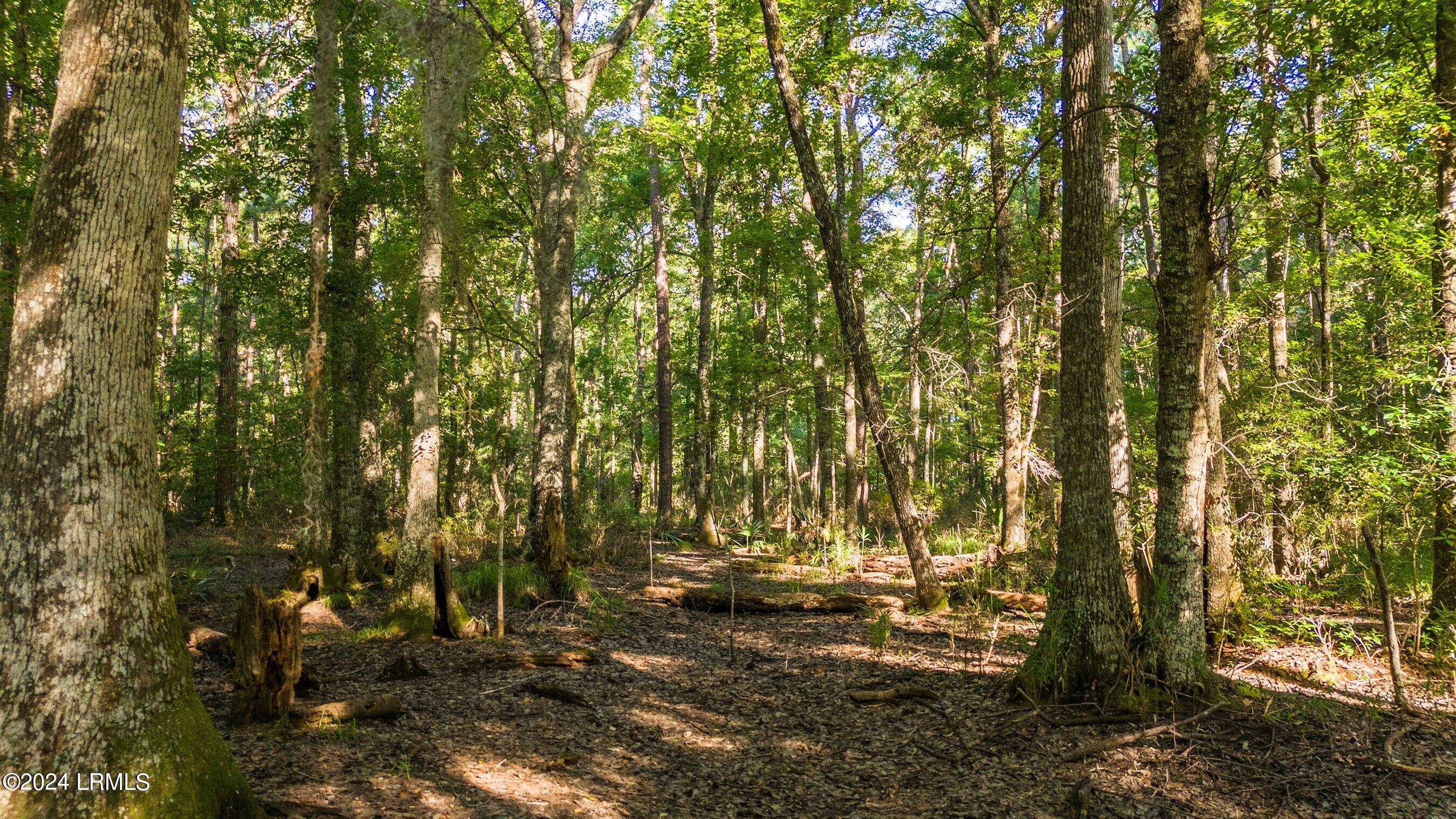 60 Okatie Bluff Road Okatie, SC 29909 - Photo 16 of 18 DJI_20240711090853_0130_D-1.jpg-SMALL