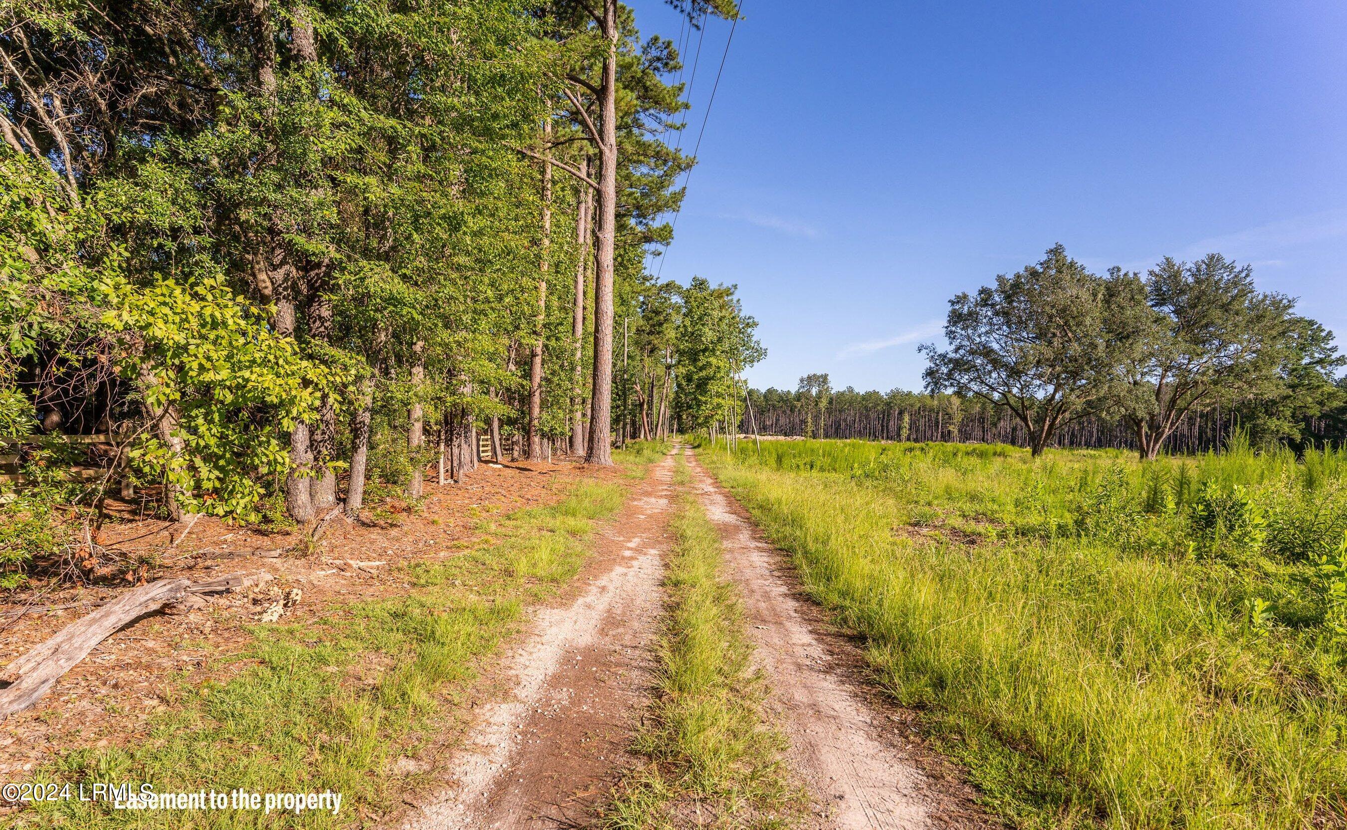 60 Okatie Bluff Road Okatie, SC 29909 - Photo 5 of 18 DSC01435-1.jpg-SMALL