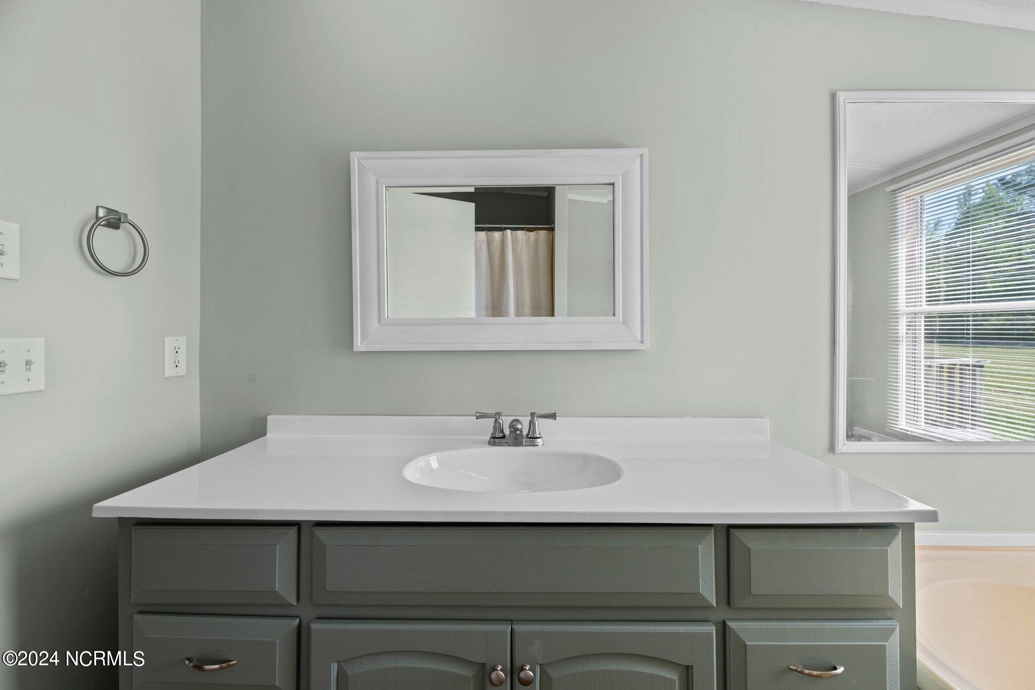 516 Cicero Riggs Road Cove City, NC 28523 - Photo 15 of 23 Master Bathroom View