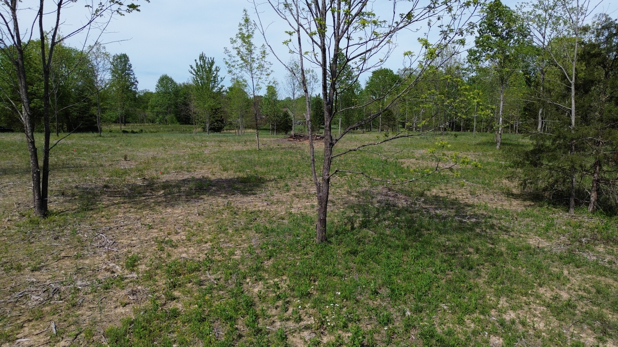 0 Dividing Ridge Road Goodlettsville, TN 37072 - Photo 4 of 10 a view of a field with trees in the background
