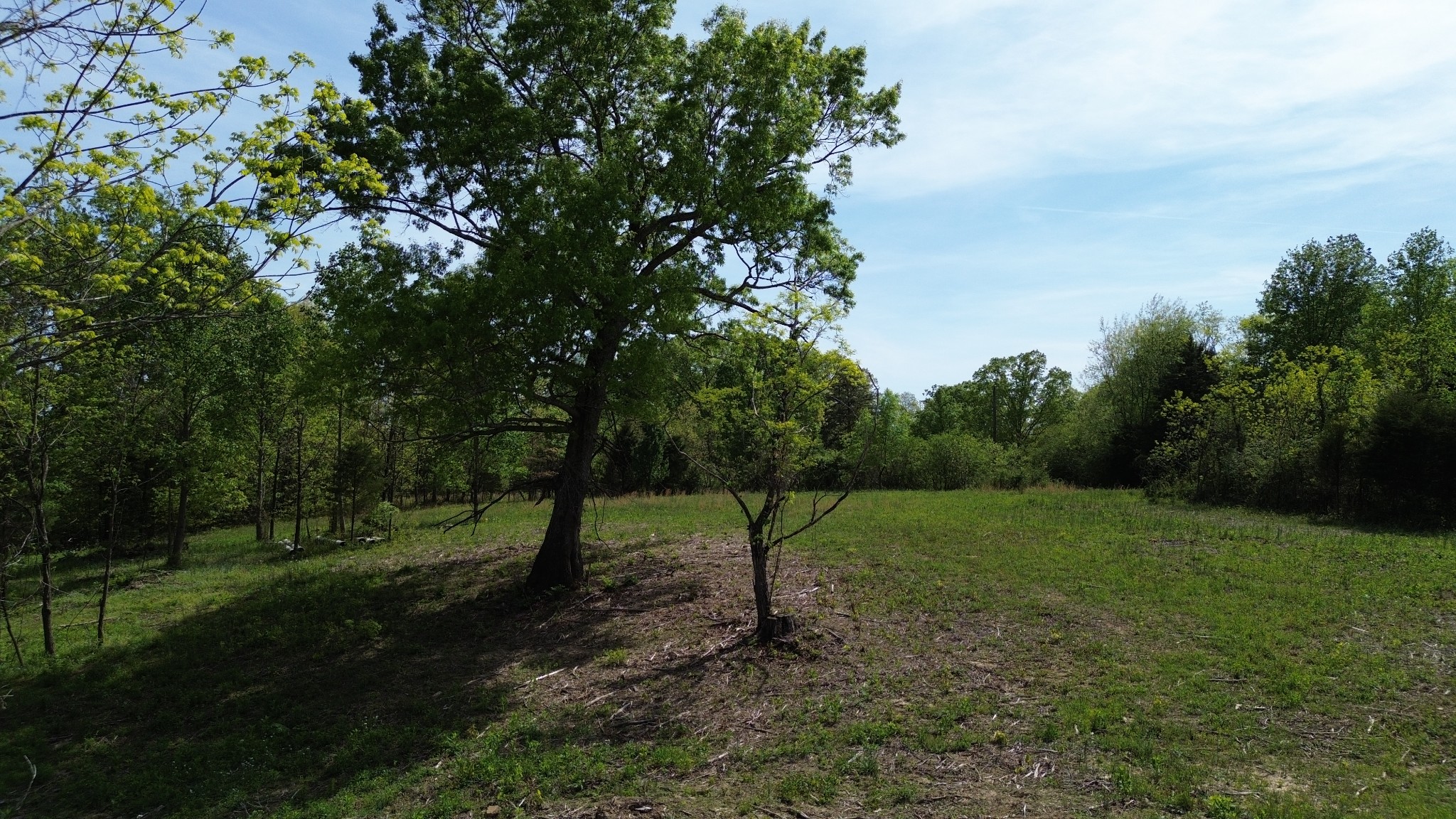 0 Dividing Ridge Road Goodlettsville, TN 37072 - Photo 5 of 10 a view of outdoor space with trees all around
