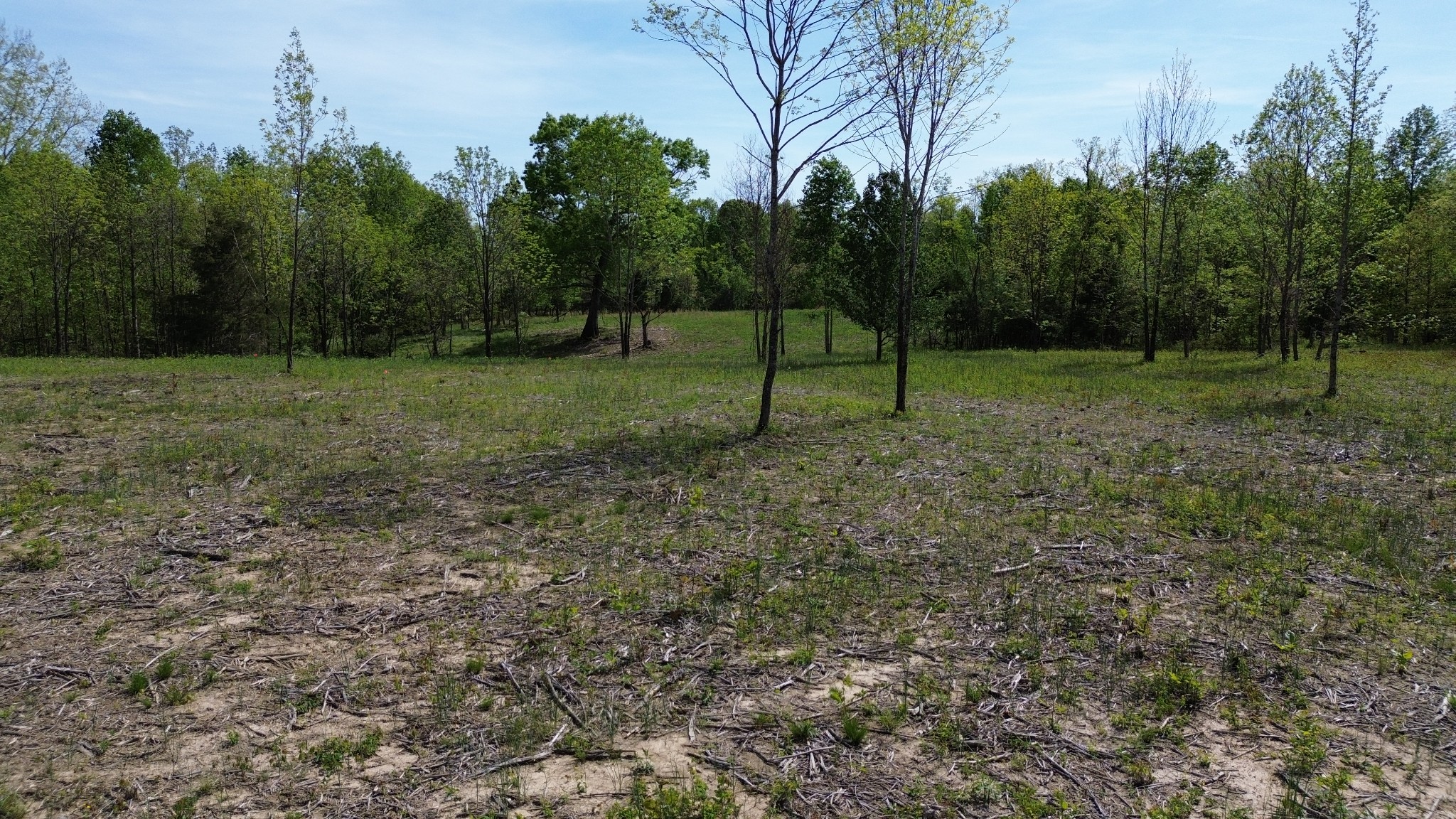 0 Dividing Ridge Road Goodlettsville, TN 37072 - Photo 7 of 10 a view of a yard