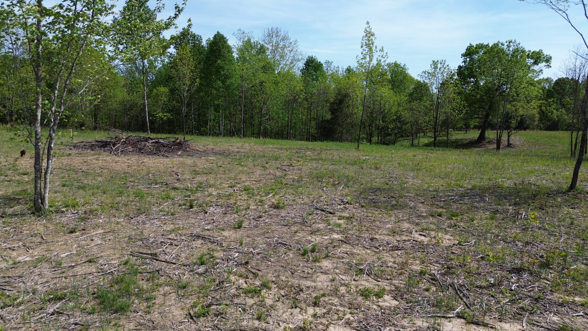 0 Dividing Ridge Road Goodlettsville, TN 37072 - Photo 8 of 10 a view of a outdoor space