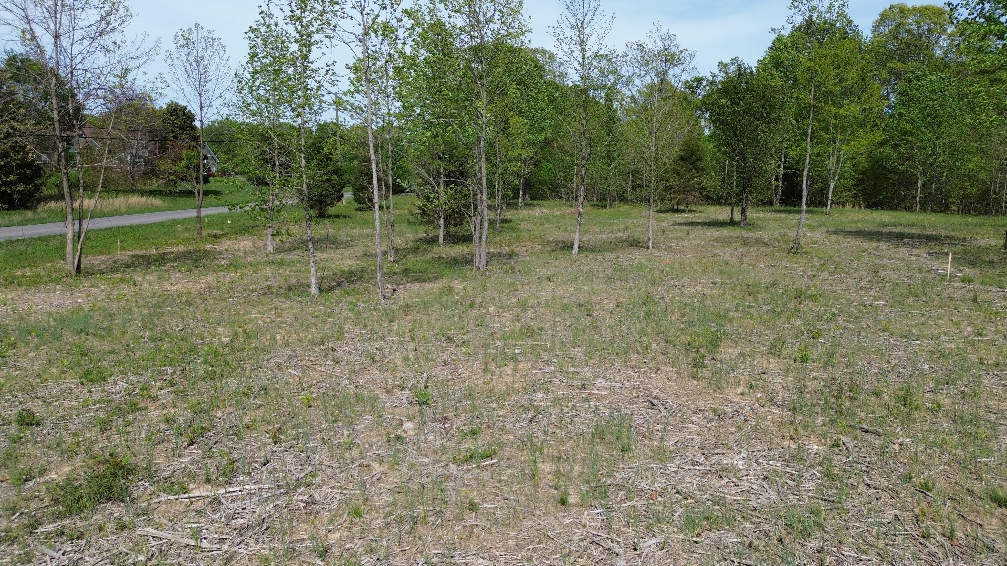 0 Dividing Ridge Road Goodlettsville, TN 37072 - Photo 10 of 10 a view of outdoor space with trees all around
