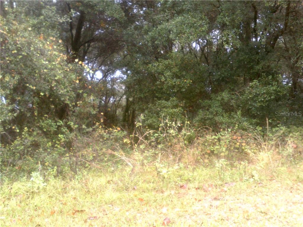 5931 Ellerbee Road Wesley Chapel, FL 33545 - Photo 1 of 1 Gallery Image 1