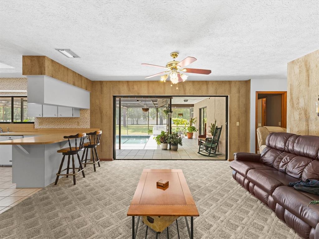 10700 Luscombe Court New Port Richey, FL 34654 - Photo 11 of 64