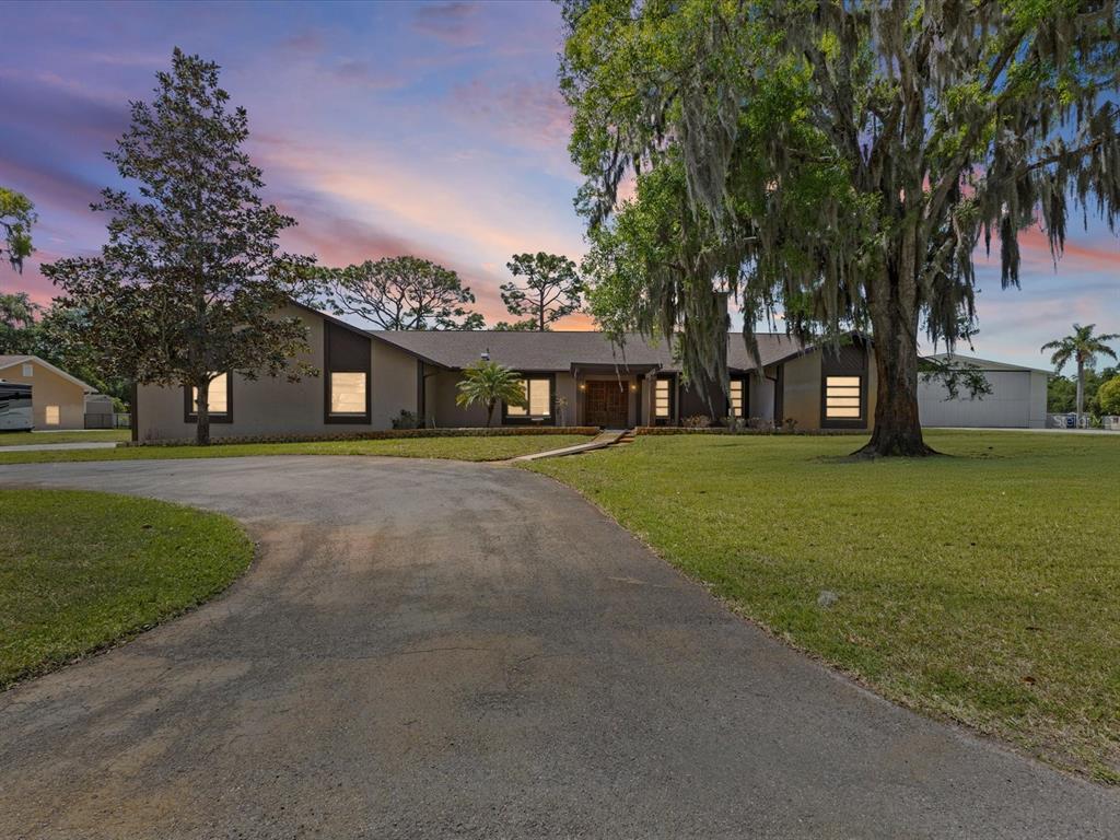 10700 Luscombe Court New Port Richey, FL 34654 - Photo 2 of 64 a front view of a house with a garden and trees