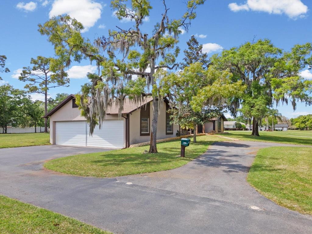 10700 Luscombe Court New Port Richey, FL 34654 - Photo 40 of 64 a view of a house with a yard and a tree