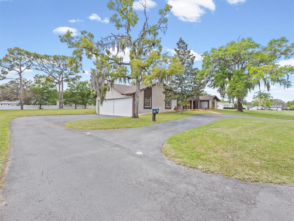 10700 Luscombe Court New Port Richey, FL 34654 - Photo 41 of 64 a view of a house with a big yard and palm trees