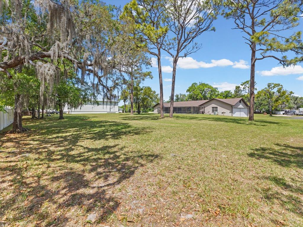 10700 Luscombe Court New Port Richey, FL 34654 - Photo 45 of 64 a view of a field with a tree in front of it