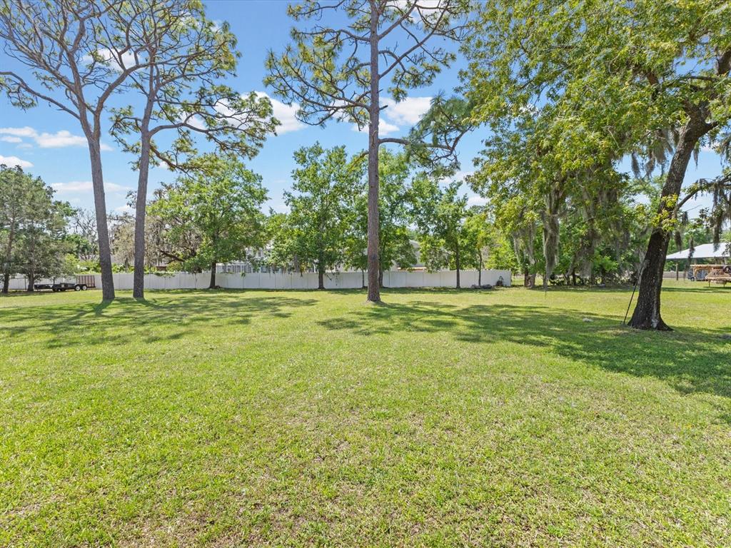 10700 Luscombe Court New Port Richey, FL 34654 - Photo 46 of 64 a view of outdoor space with trees all around