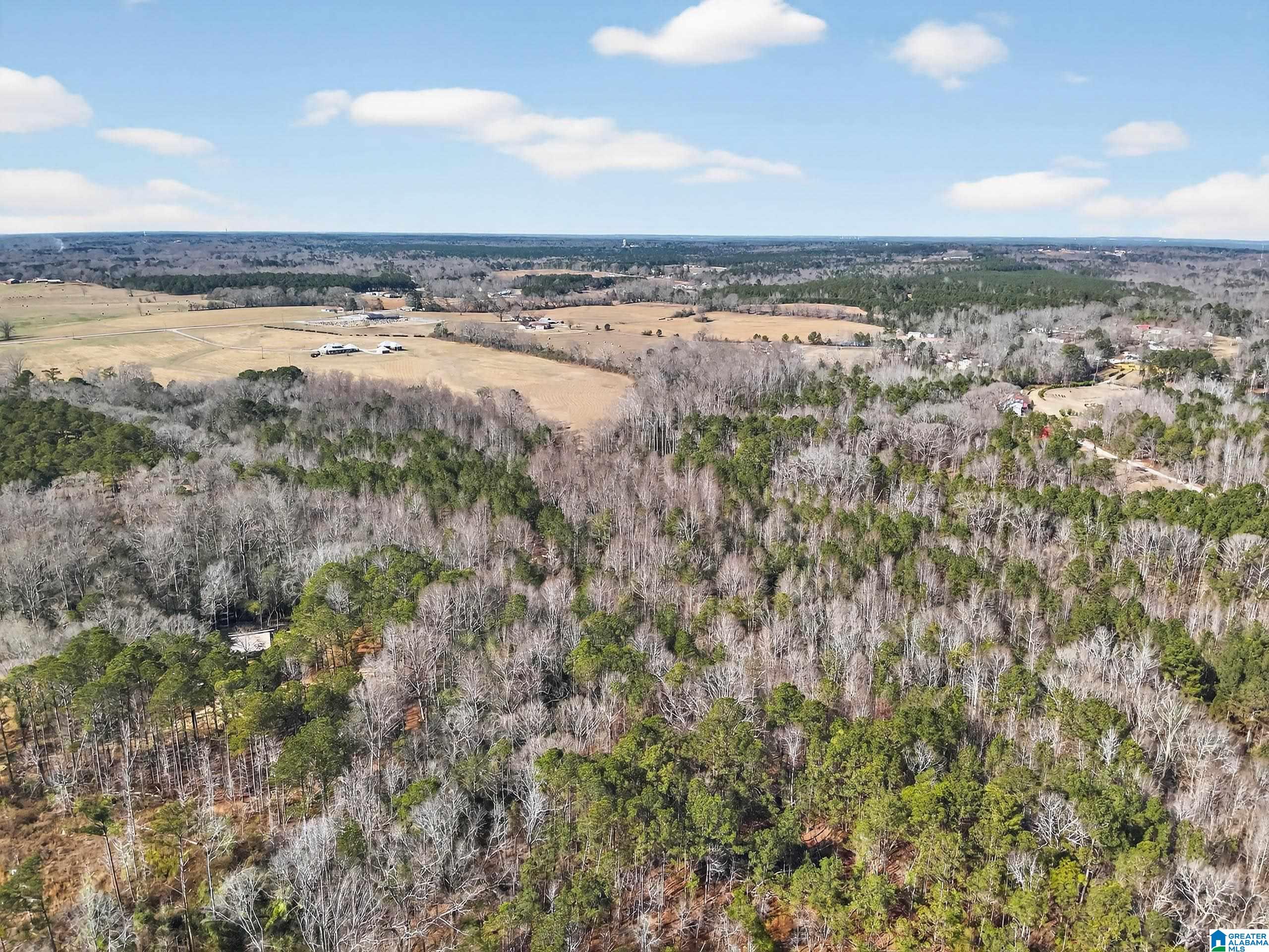 295 County Road 270 Clanton, AL 35045 - Photo 33 of 38