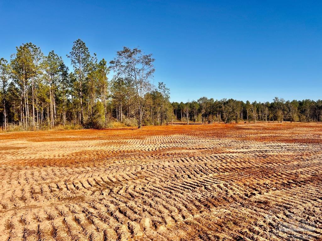 Lot 11 Denali Road Jay, FL 32565 - Photo 1 of 24