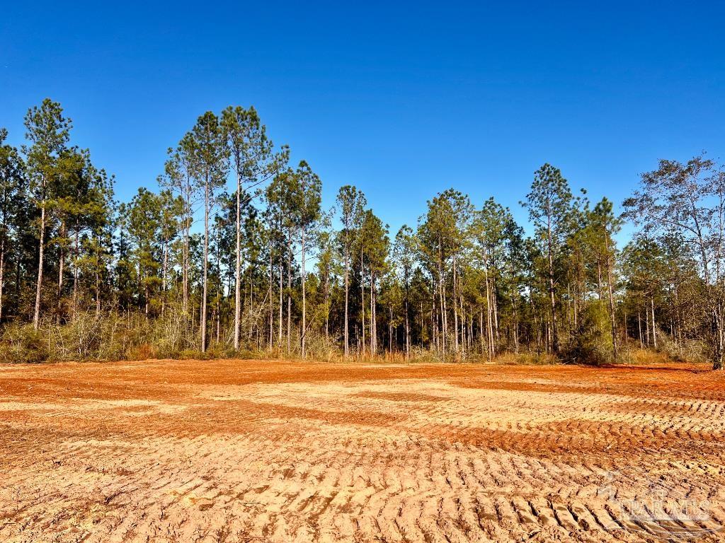 Lot 11 Denali Road Jay, FL 32565 - Photo 11 of 24