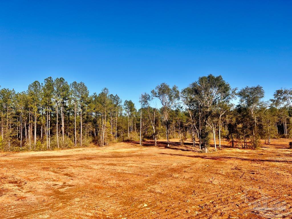 Lot 11 Denali Road Jay, FL 32565 - Photo 13 of 24