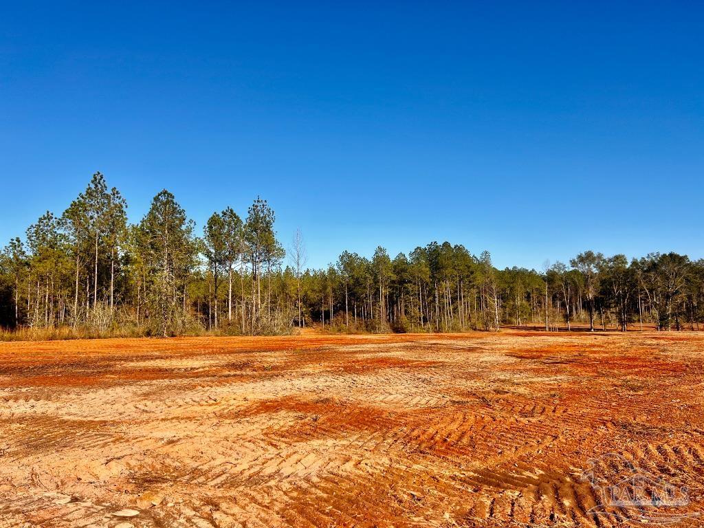 Lot 11 Denali Road Jay, FL 32565 - Photo 14 of 24