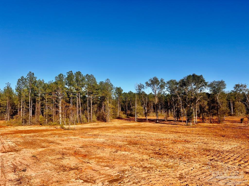 Lot 11 Denali Road Jay, FL 32565 - Photo 16 of 24