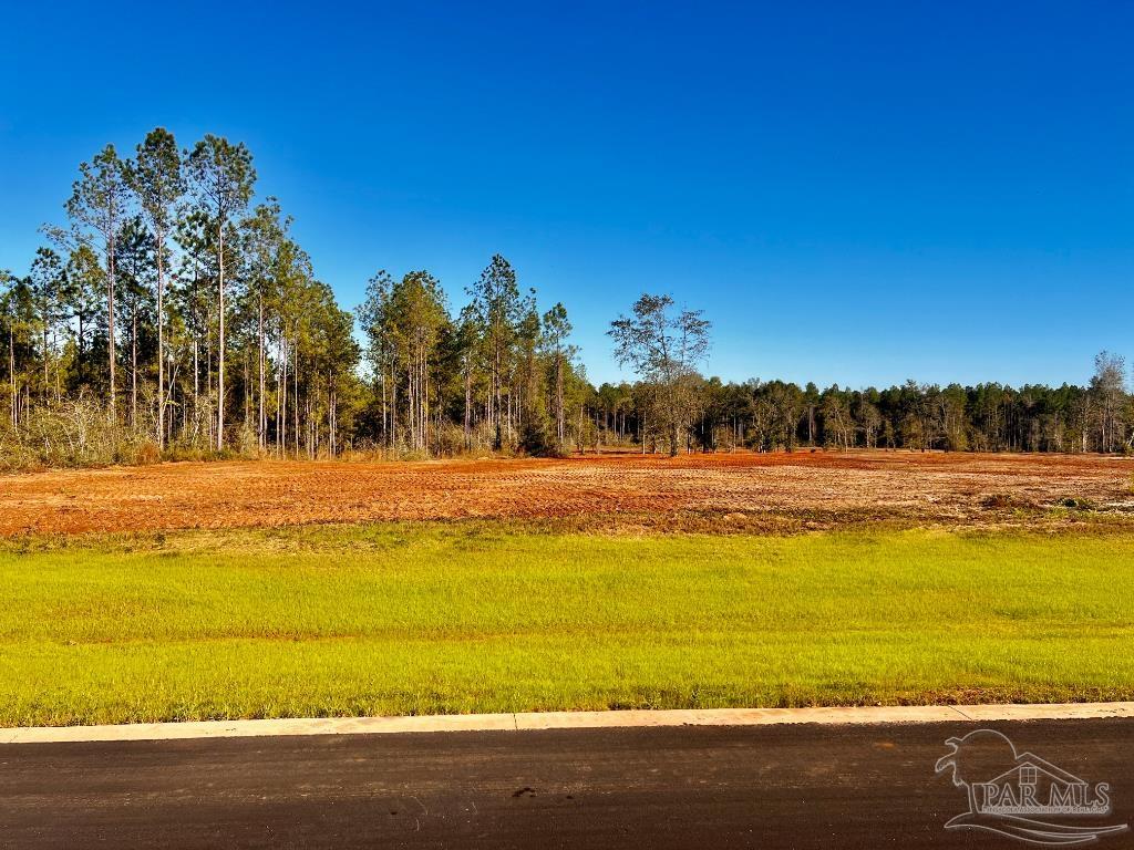 Lot 11 Denali Road Jay, FL 32565 - Photo 2 of 24