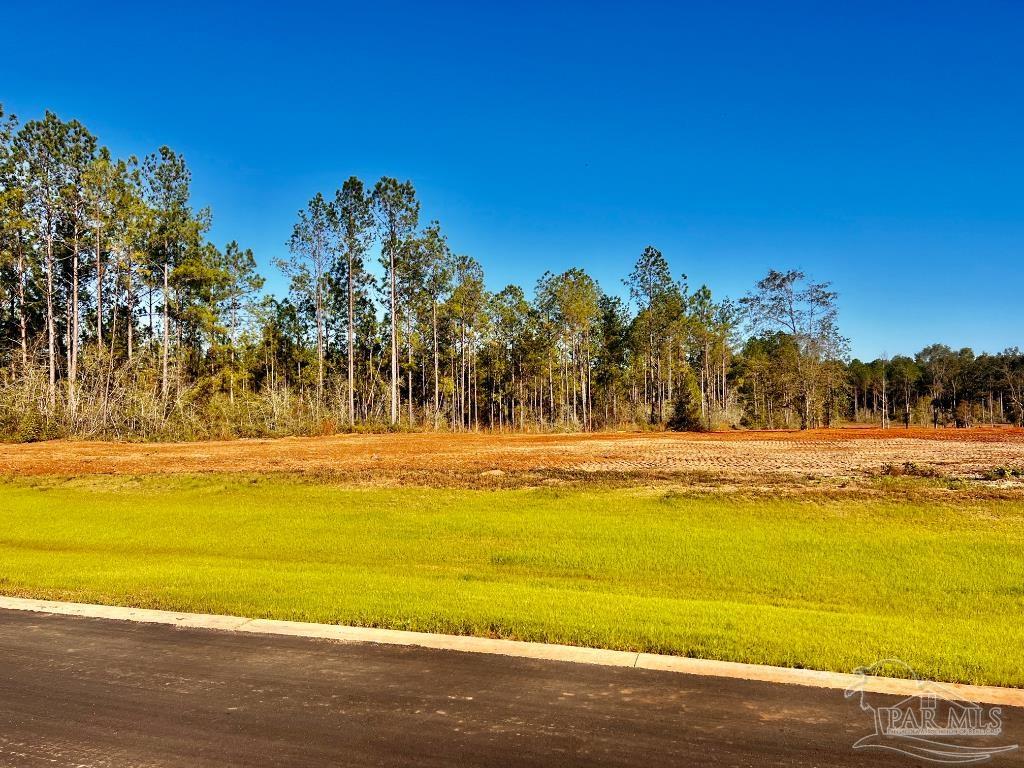 Lot 11 Denali Road Jay, FL 32565 - Photo 7 of 24