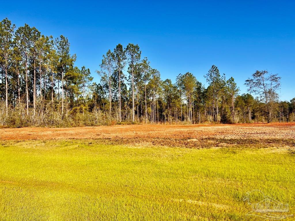 Lot 11 Denali Road Jay, FL 32565 - Photo 8 of 24