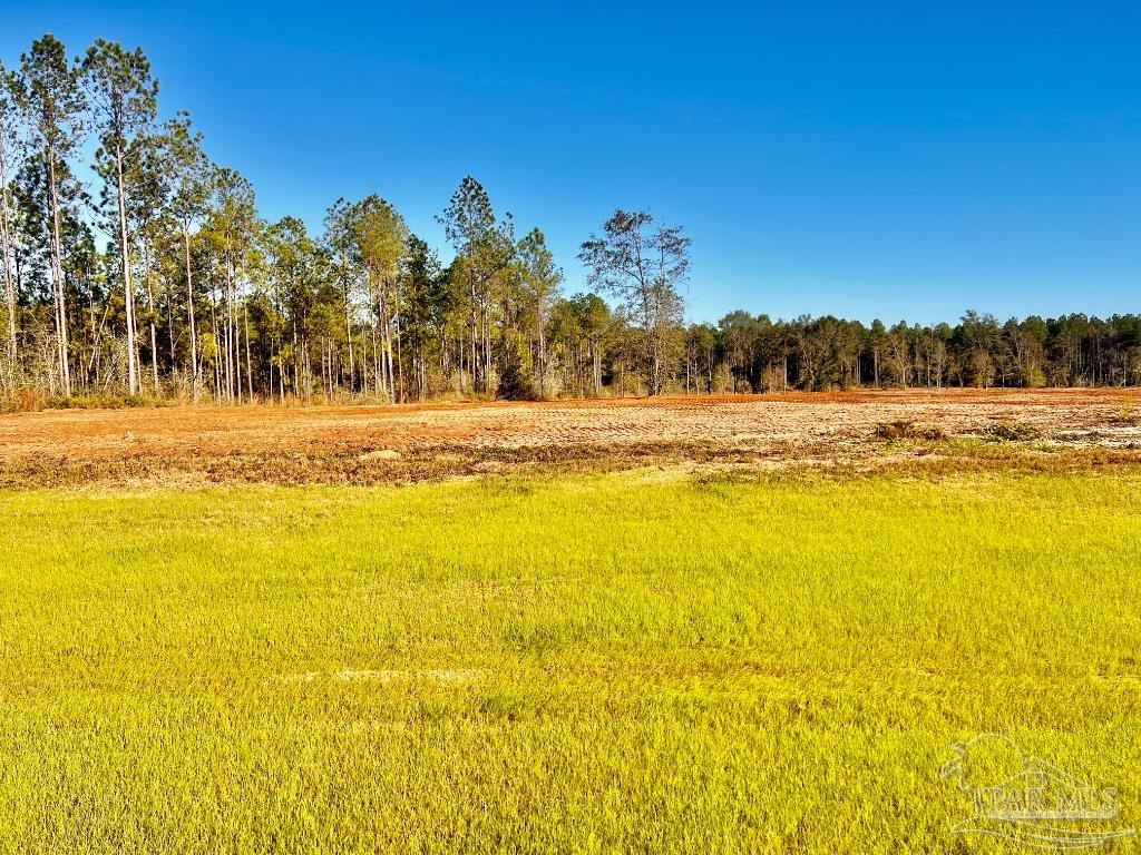 Lot 11 Denali Road Jay, FL 32565 - Photo 9 of 24
