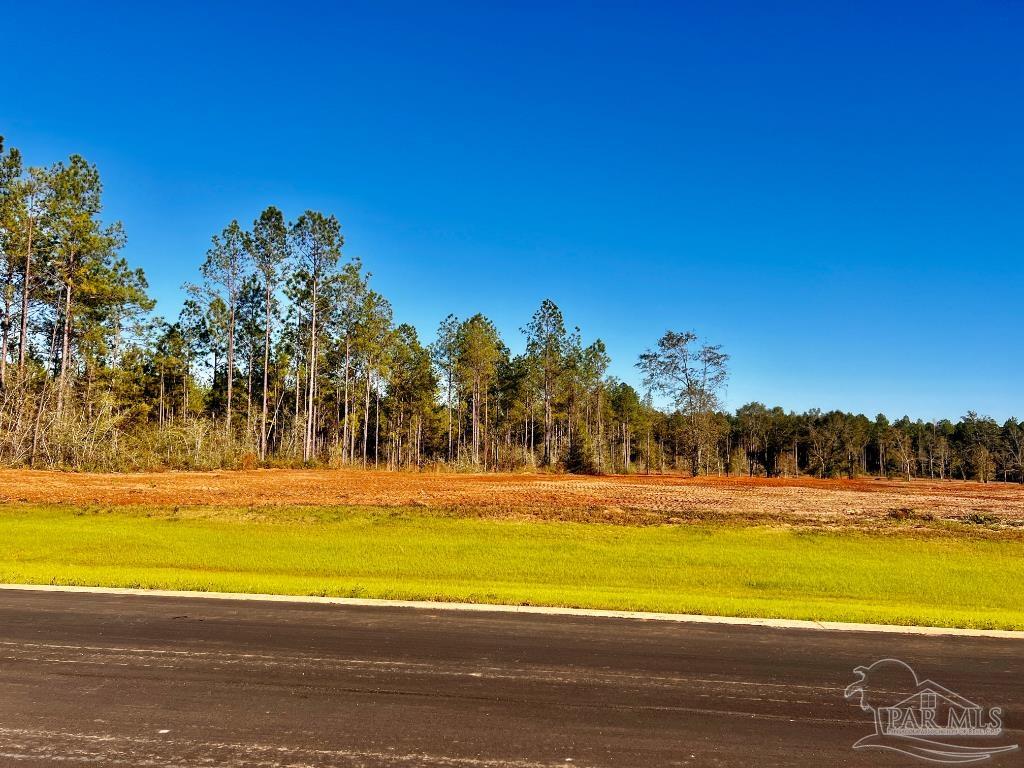 Lot 11 Denali Road Jay, FL 32565 - Photo 10 of 24