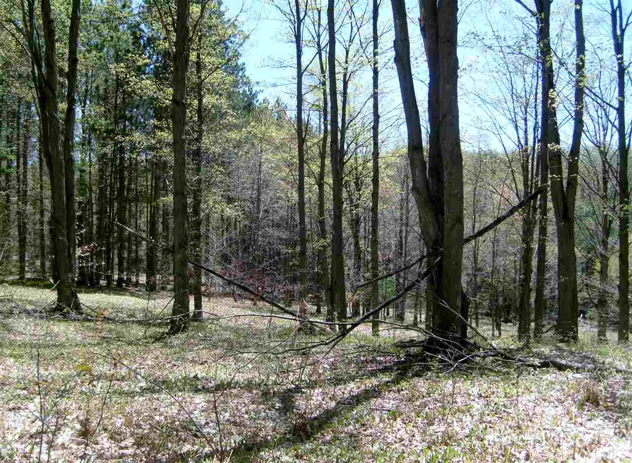 335 West Sharon Road Southeast Fife Lake, MI 49633 - Photo 82 of 99 1874973-81.JPG