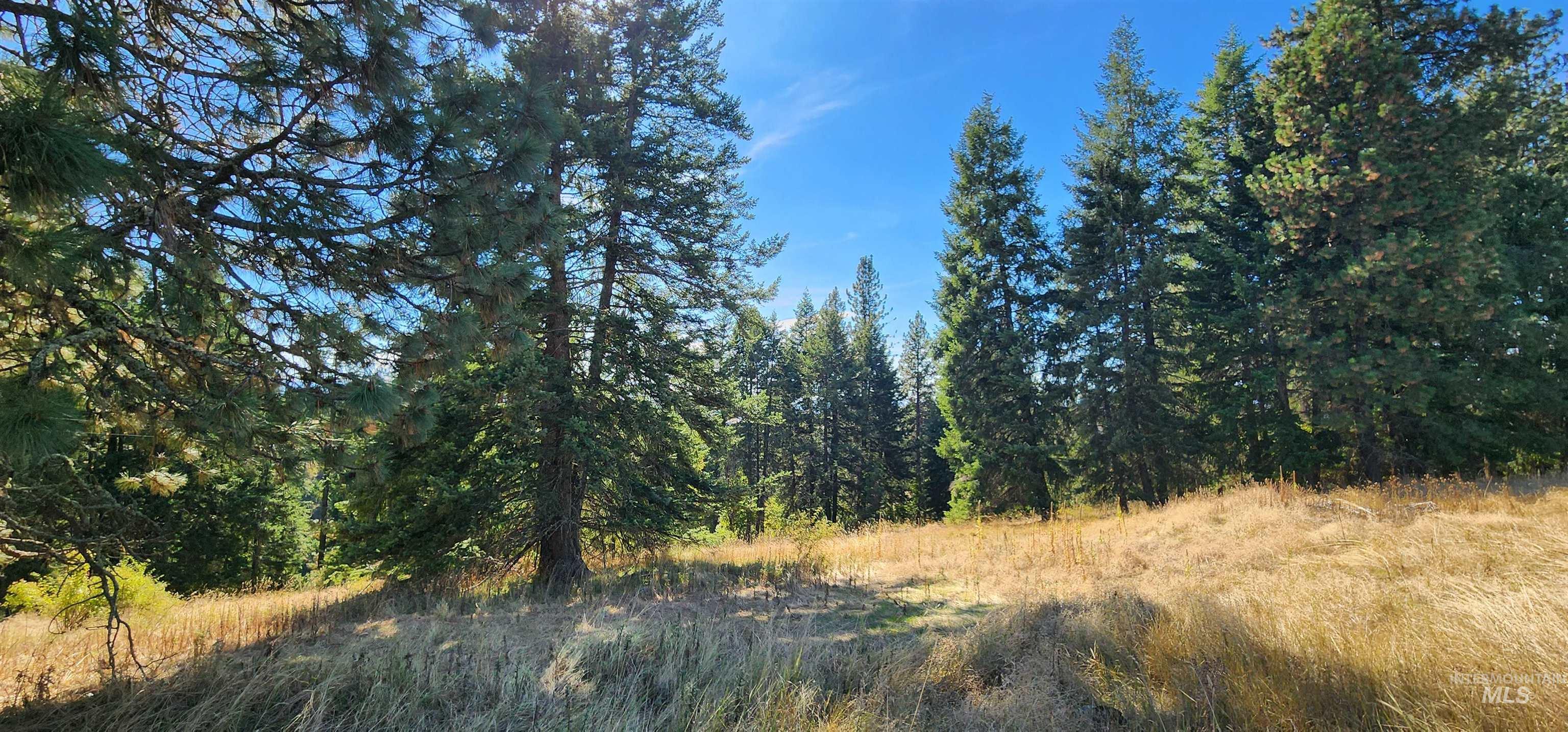 Tbd Red Fir Road Kooskia, ID 83539 - Photo 8 of 34