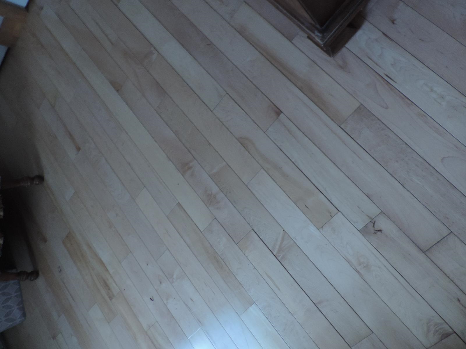 210 Western Shores Road Wells, VT 05774 - Photo 22 of 28 Gallery Image 22