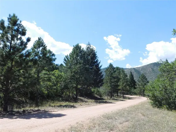 a view of a pathway with a yard
