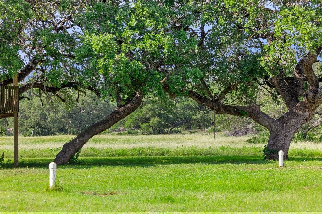 2101 Tower Road Georgetown, TX 78628 - Photo 37 of 38 a view of a park